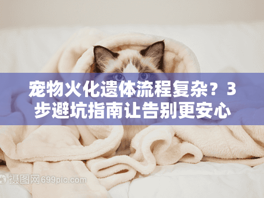 宠物火化遗体流程复杂？3步避坑指南让告别更安心