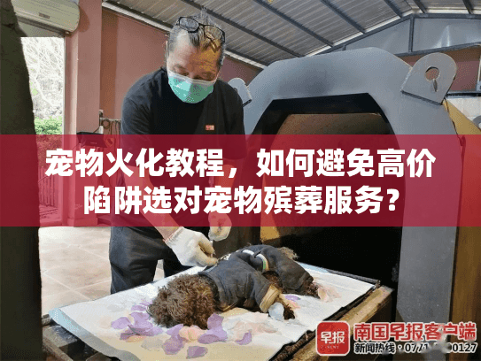 宠物火化教程,如何避免高价陷阱选对宠物殡葬服务? 宠物火化教程,如何避免高价陷阱选对宠物殡葬服务?