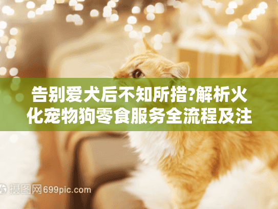告别爱犬后不知所措?解析火化宠物狗零食服务全流程及注意事项