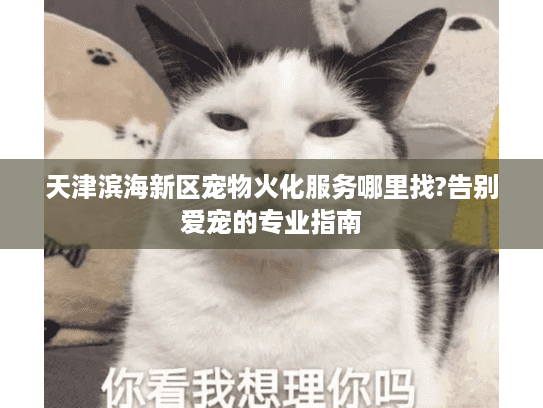 天津滨海新区宠物火化服务哪里找?告别爱宠的专业指南