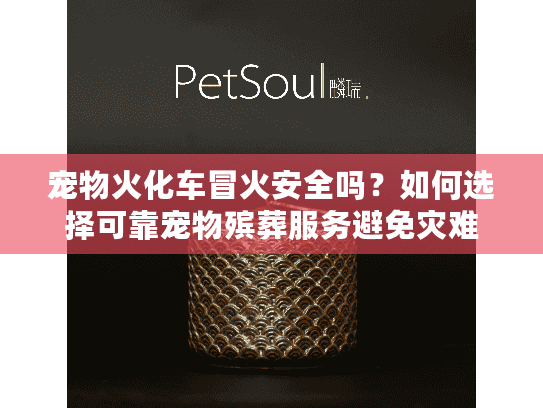 宠物火化车冒火安全吗？如何选择可靠宠物殡葬服务避免灾难