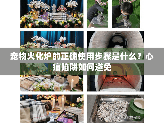 宠物火化炉的正确使用步骤是什么？心痛陷阱如何避免