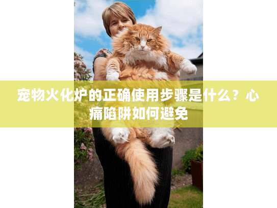宠物火化炉的正确使用步骤是什么？心痛陷阱如何避免