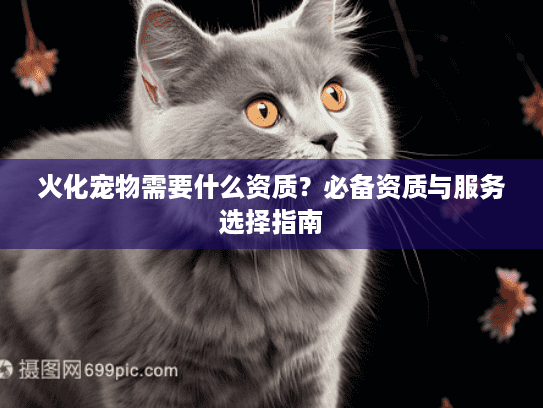 火化宠物需要什么资质？必备资质与服务选择指南