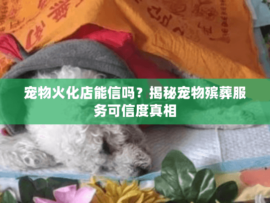 宠物火化店能信吗？揭秘宠物殡葬服务可信度真相