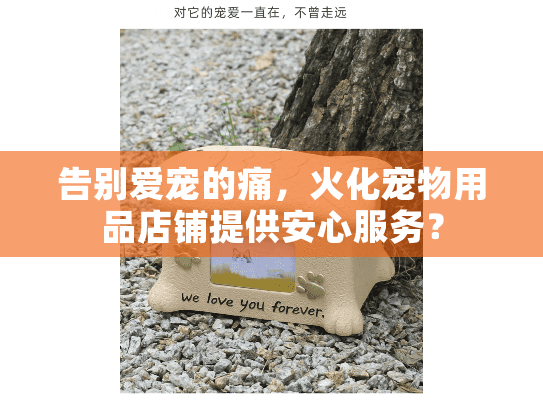 告别爱宠的痛，火化宠物用品店铺提供安心服务？