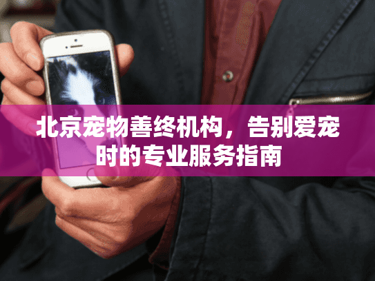 北京宠物善终机构，告别爱宠时的专业服务指南