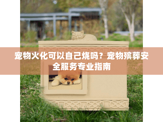 宠物火化可以自己烧吗？宠物殡葬安全服务专业指南