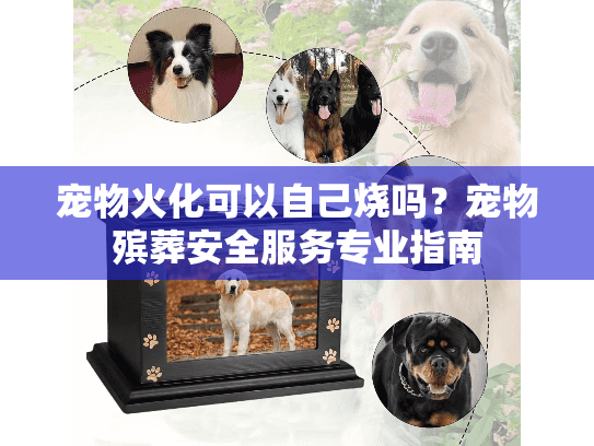 宠物火化可以自己烧吗？宠物殡葬安全服务专业指南