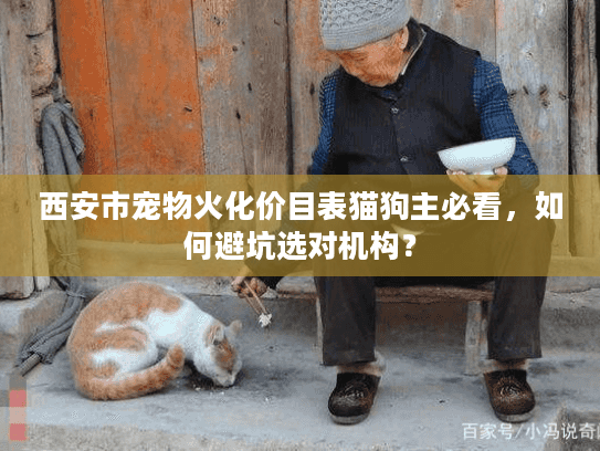 西安市宠物火化价目表猫狗主必看,如何避坑选对机构? 西安市宠物火化价目表猫狗主必看,如何避坑选对机构?