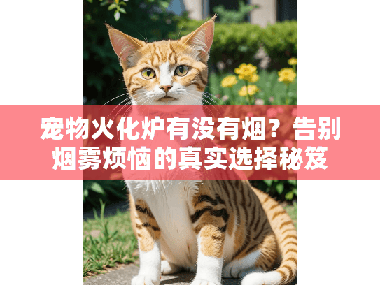宠物火化炉有没有烟？告别烟雾烦恼的真实选择秘笈