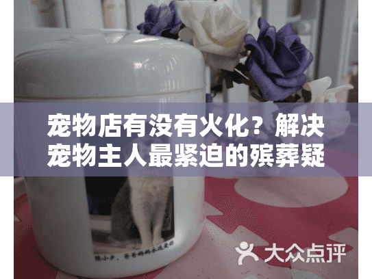 宠物店有没有火化？解决宠物主人最紧迫的殡葬疑问