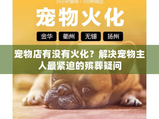 宠物店有没有火化？解决宠物主人最紧迫的殡葬疑问