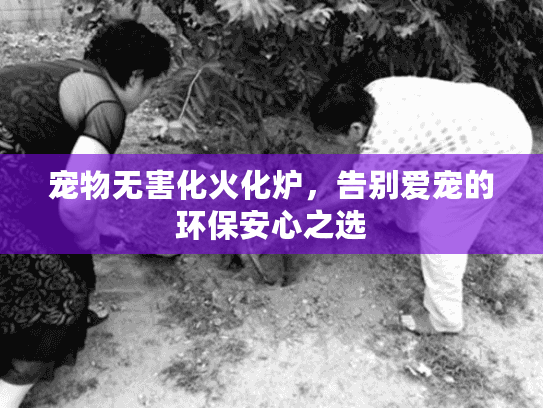 宠物无害化火化炉，告别爱宠的环保安心之选