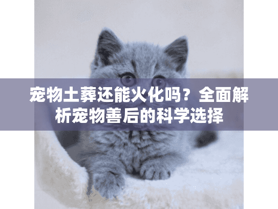 宠物土葬还能火化吗？全面解析宠物善后的科学选择