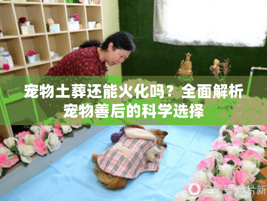 宠物土葬还能火化吗？全面解析宠物善后的科学选择