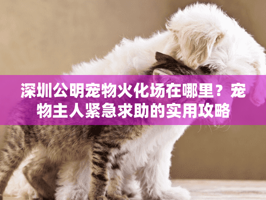 深圳公明宠物火化场在哪里？宠物主人紧急求助的实用攻略