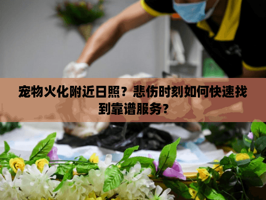 宠物火化附近日照？悲伤时刻如何快速找到靠谱服务？