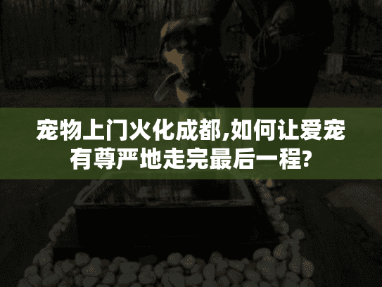 宠物上门火化成都,如何让爱宠有尊严地走完最后一程?