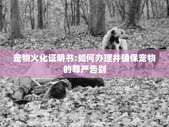 宠物火化证明书:如何办理并确保宠物的尊严告别