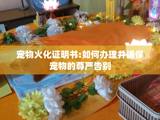 宠物火化证明书:如何办理并确保宠物的尊严告别