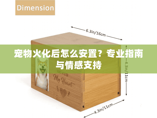 宠物火化后怎么安置？专业指南与情感支持