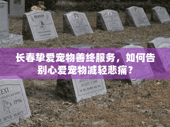 长春挚爱宠物善终服务，如何告别心爱宠物减轻悲痛？