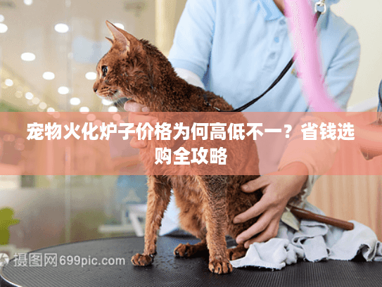 宠物火化炉子价格为何高低不一？省钱选购全攻略