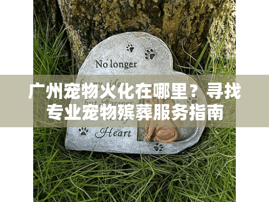 广州宠物火化在哪里？寻找专业宠物殡葬服务指南