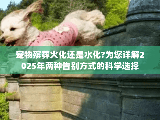 宠物殡葬火化还是水化?为您详解2025年两种告别方式的科学选择
