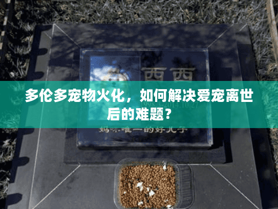 多伦多宠物火化，如何解决爱宠离世后的难题？