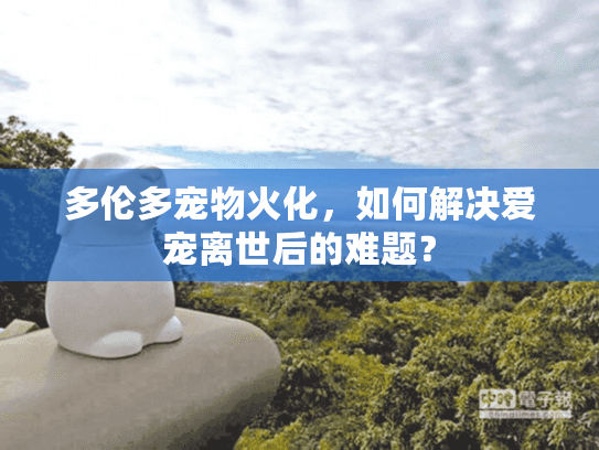 多伦多宠物火化，如何解决爱宠离世后的难题？
