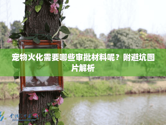 宠物火化需要哪些审批材料呢?附避坑图片解析 宠物火化需要哪些审批材料呢?附避坑图片解析