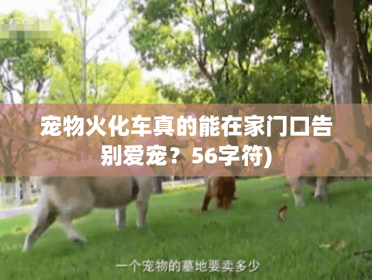 宠物火化车真的能在家门口告别爱宠？56字符)