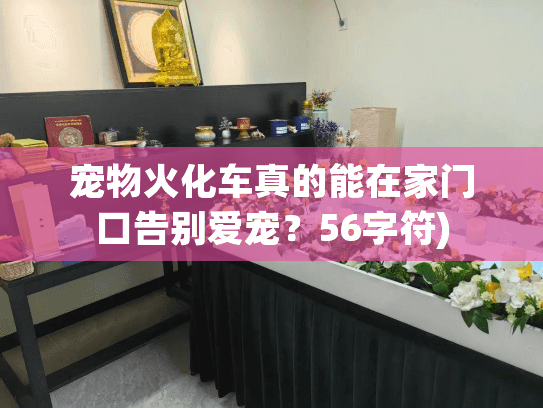 宠物火化车真的能在家门口告别爱宠？56字符)