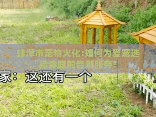 蚌埠市宠物火化:如何为爱宠选择体面的告别服务?