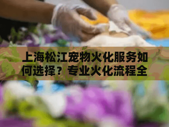 上海松江宠物火化服务如何选择？专业火化流程全解析