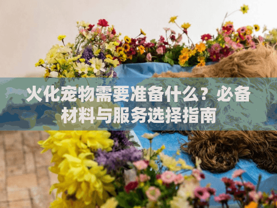 火化宠物需要准备什么？必备材料与服务选择指南