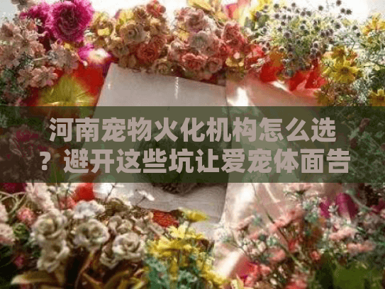 河南宠物火化机构怎么选？避开这些坑让爱宠体面告别