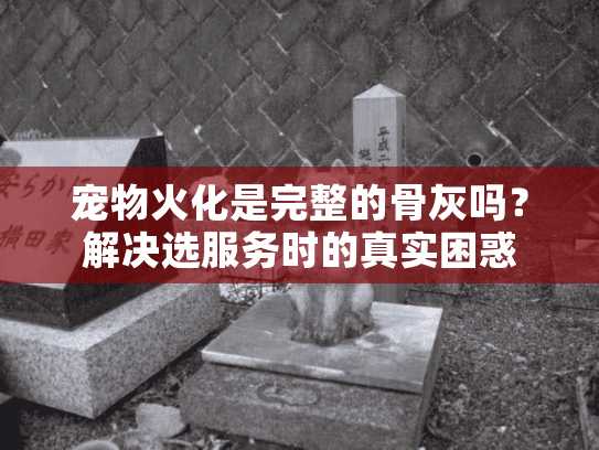 宠物火化是完整的骨灰吗？解决选服务时的真实困惑