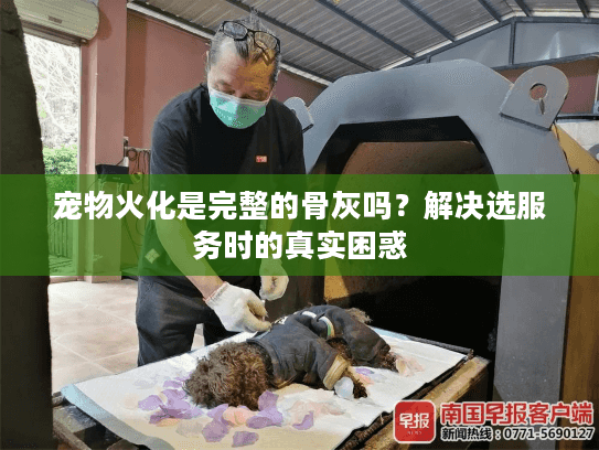 宠物火化是完整的骨灰吗？解决选服务时的真实困惑