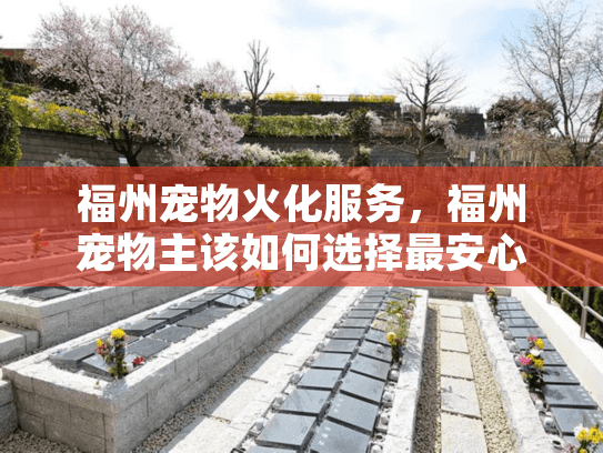 福州宠物火化服务，福州宠物主该如何选择最安心的殡葬方案？