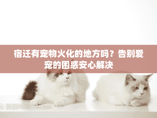 宿迁有宠物火化的地方吗？告别爱宠的困惑安心解决