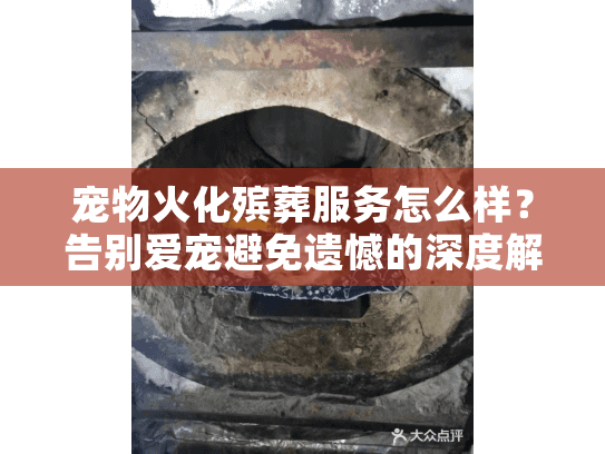 宠物火化殡葬服务怎么样?告别爱宠避免遗憾的深度解答 宠物火化殡葬服务怎么样?告别爱宠避免遗憾的深度解答