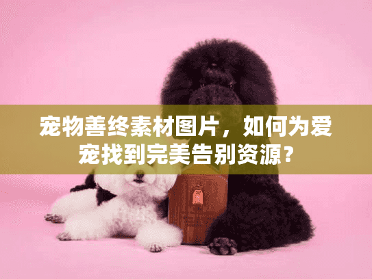 宠物善终素材图片，如何为爱宠找到完美告别资源？