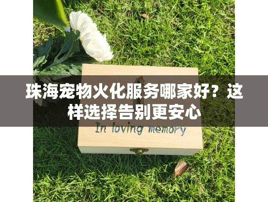 珠海宠物火化服务哪家好？这样选择告别更安心