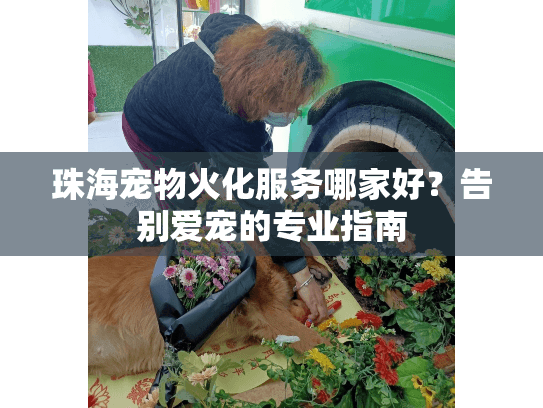 珠海宠物火化服务哪家好？告别爱宠的专业指南