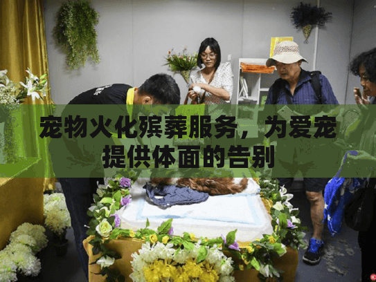宠物火化殡葬服务，为爱宠提供体面的告别