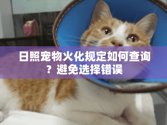 日照宠物火化规定如何查询？避免选择错误