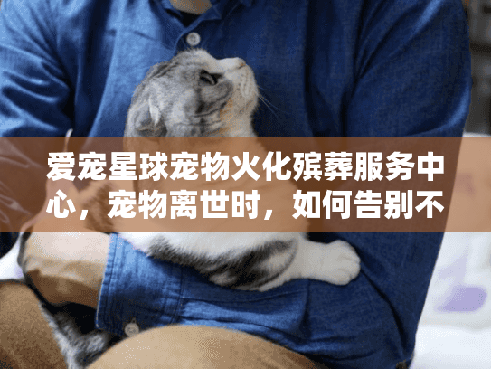爱宠星球宠物火化殡葬服务中心，宠物离世时，如何告别不留遗憾？
